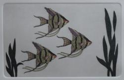 Angelfish