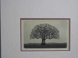 Half Moon Tree