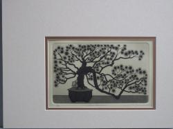 Sun Bonsai (Tan)