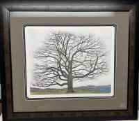 Enduring Oak