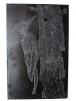 Woodpecker Plate