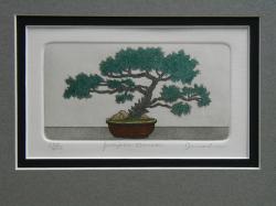Juniper S (MINI)