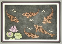 Koi Garden