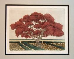 Red Maple Garden