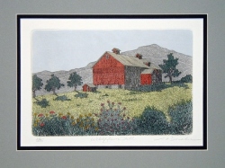 Wildflower Hill