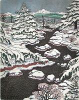  Meandering Stream