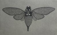   PARROT BUG