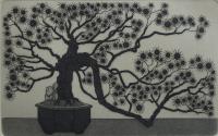Sun Bonsai (Tan)  OUT OF PRINT