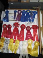 Show Awards
