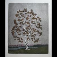    Coexistence WOOD FRAME 