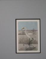   Egret