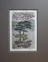 Quiescence  Matted