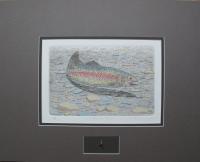 Rainbow Trout (with fly) Metal frame  OUT OF PRINT