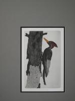 Woodpecker  off-center mat